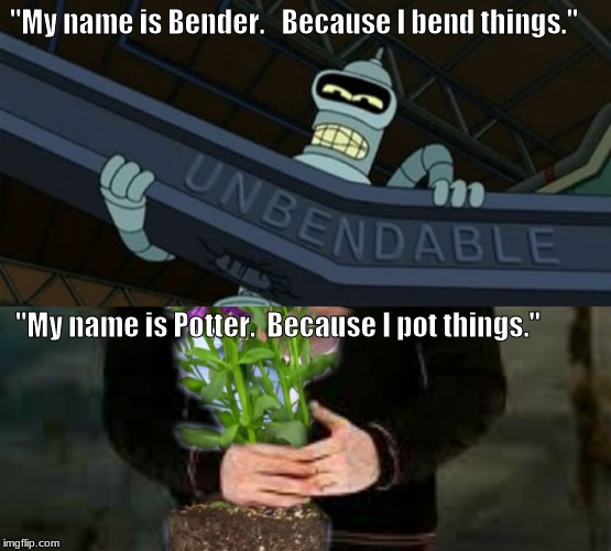 a Harry Potter meme | "My name is Bender.   Because I bend things."; "My name is Potter.  Because I pot things." | image tagged in harry potter,memes,futurama | made w/ Imgflip meme maker