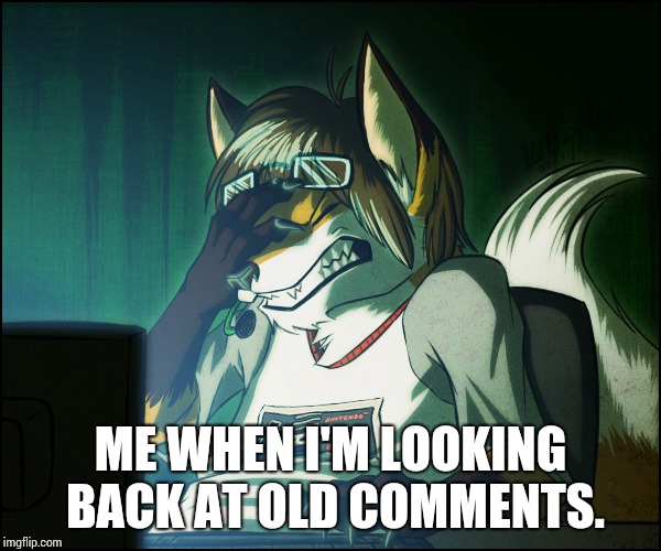 Furry facepalm |  ME WHEN I'M LOOKING BACK AT OLD COMMENTS. | image tagged in furry facepalm | made w/ Imgflip meme maker