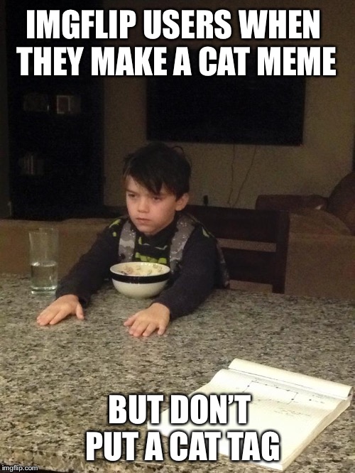 the struggle is real | IMGFLIP USERS WHEN THEY MAKE A CAT MEME BUT DON’T PUT A CAT TAG | image tagged in the struggle is real | made w/ Imgflip meme maker