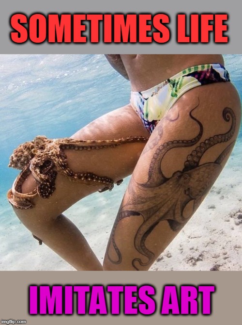 octo tat | SOMETIMES LIFE; IMITATES ART | image tagged in octopus,art,life,tattoos | made w/ Imgflip meme maker