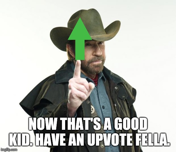 Chuck Norris Finger Meme | NOW THAT'S A GOOD KID. HAVE AN UPVOTE FELLA. | image tagged in memes,chuck norris finger,chuck norris | made w/ Imgflip meme maker