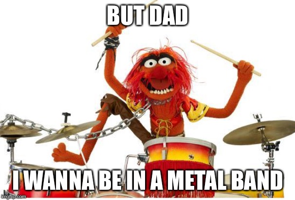 animal drums | BUT DAD I WANNA BE IN A METAL BAND | image tagged in animal drums | made w/ Imgflip meme maker