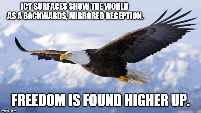 eagle | ICY SURFACES SHOW THE WORLD AS A BACKWARDS, MIRRORED DECEPTION. FREEDOM IS FOUND HIGHER UP. | image tagged in eagle | made w/ Imgflip meme maker