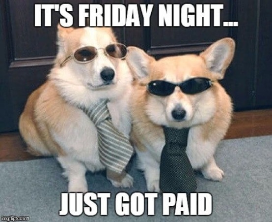 Just Got Paid | image tagged in dogs,funny dogs,friday night,friday,corgi | made w/ Imgflip meme maker