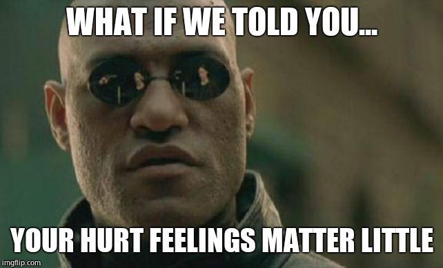 Matrix Morpheus Meme | WHAT IF WE TOLD YOU... YOUR HURT FEELINGS MATTER LITTLE | image tagged in memes,matrix morpheus | made w/ Imgflip meme maker