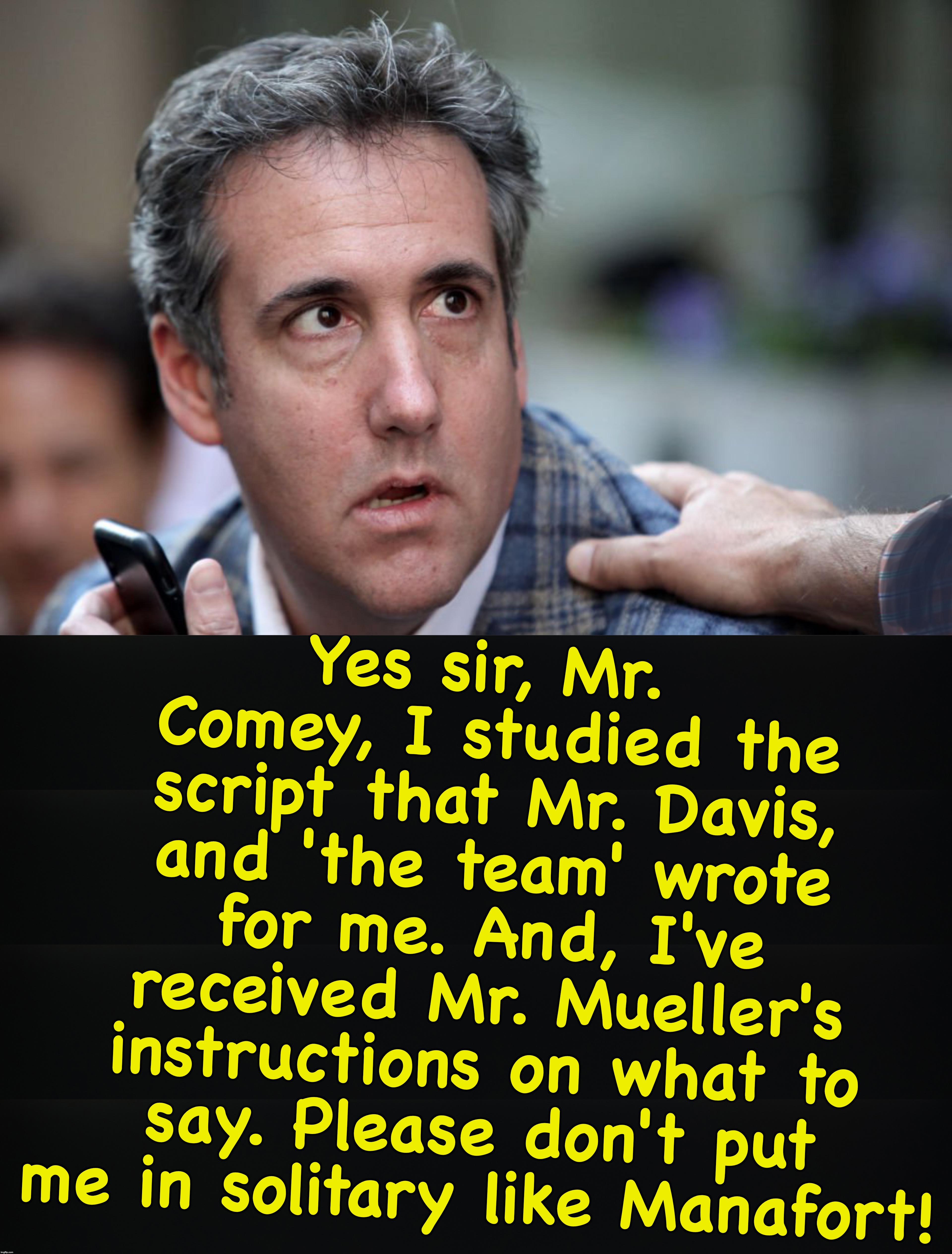 it likely went something like this.... | Yes sir, Mr. Comey, I studied the script that Mr. Davis, and 'the team' wrote for me. And, I've received Mr. Mueller's instructions on what to say. Please don't put me in solitary like Manafort! | image tagged in michael cohen | made w/ Imgflip meme maker