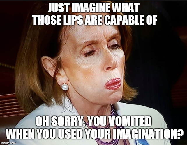 Nancy Pelosi PB Sandwich | JUST IMAGINE WHAT THOSE LIPS ARE CAPABLE OF; OH SORRY, YOU VOMITED WHEN YOU USED YOUR IMAGINATION? | image tagged in nancy pelosi pb sandwich | made w/ Imgflip meme maker