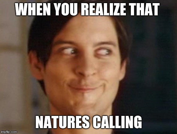 Spiderman Peter Parker | WHEN YOU REALIZE THAT; NATURES CALLING | image tagged in memes,spiderman peter parker | made w/ Imgflip meme maker