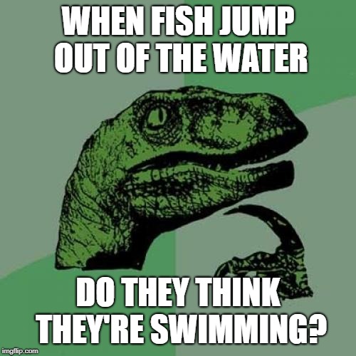 or diving | WHEN FISH JUMP OUT OF THE WATER; DO THEY THINK THEY'RE SWIMMING? | image tagged in memes,philosoraptor,fish,swimming,jumping | made w/ Imgflip meme maker