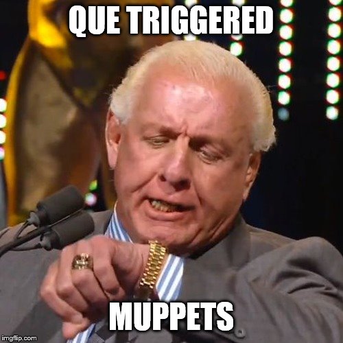 RIC FLAIR LOOKS AT WATCH | QUE TRIGGERED MUPPETS | image tagged in ric flair looks at watch | made w/ Imgflip meme maker