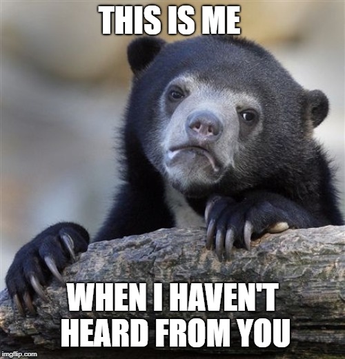 Confession Bear Meme | THIS IS ME; WHEN I HAVEN'T HEARD FROM YOU | image tagged in memes,confession bear | made w/ Imgflip meme maker