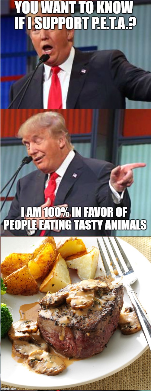 He's obviously not a vegan |  YOU WANT TO KNOW IF I SUPPORT P.E.T.A.? I AM 100% IN FAVOR OF PEOPLE EATING TASTY ANIMALS | image tagged in bad pun trump,peta,people eating tasty animals,steak | made w/ Imgflip meme maker