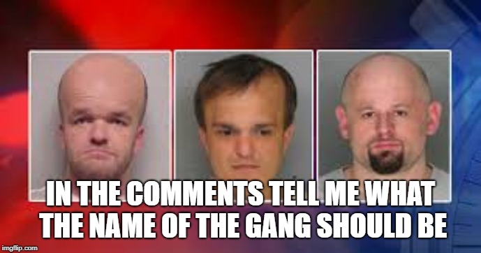 da crime gang | IN THE COMMENTS TELL ME WHAT THE NAME OF THE GANG SHOULD BE | image tagged in memes,partners in crime | made w/ Imgflip meme maker