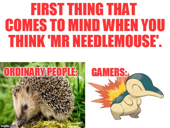 WHAT COMESTO MIND | FIRST THING THAT COMES TO MIND WHEN YOU THINK 'MR NEEDLEMOUSE'. ORDINARY PEOPLE:; GAMERS: | image tagged in games,pokemon | made w/ Imgflip meme maker