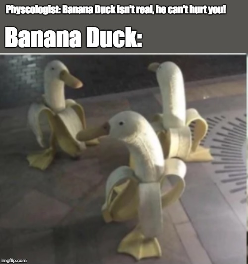 Physcologist: Banana Duck isn't real, he can't hurt you! Banana Duck: | image tagged in banana duck | made w/ Imgflip meme maker