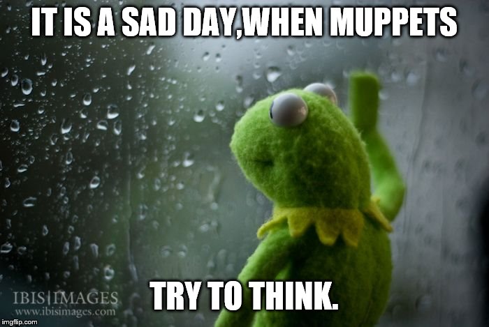 kermit window | IT IS A SAD DAY,WHEN MUPPETS TRY TO THINK. | image tagged in kermit window | made w/ Imgflip meme maker