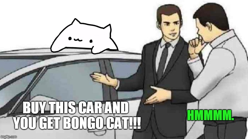 Bongo Cat Car Slap | HMMMM. BUY THIS CAR AND YOU GET BONGO CAT!!! | image tagged in memes,car salesman slaps roof of car,bongo cat meme,funny,bongo cat,lol | made w/ Imgflip meme maker