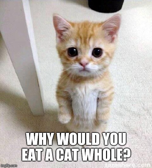 Cute Cat Meme | WHY WOULD YOU EAT A CAT WHOLE? | image tagged in memes,cute cat | made w/ Imgflip meme maker