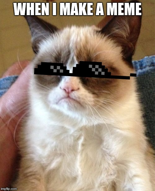 Grumpy Cat Meme | WHEN I MAKE A MEME | image tagged in memes,grumpy cat | made w/ Imgflip meme maker