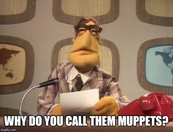 muppet news | WHY DO YOU CALL THEM MUPPETS? | image tagged in muppet news | made w/ Imgflip meme maker