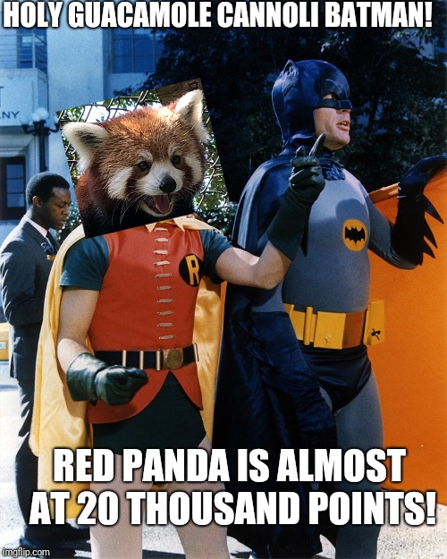 So close! | HOLY GUACAMOLE CANNOLI BATMAN! RED PANDA IS ALMOST AT 20 THOUSAND POINTS! | image tagged in memes,funny,20k,red panda,guacamole,cannoli | made w/ Imgflip meme maker