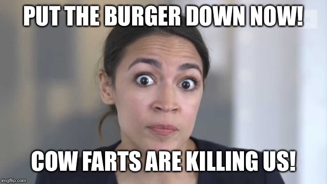 Crazy Alexandria Ocasio-Cortez | PUT THE BURGER DOWN NOW! COW FARTS ARE KILLING US! | image tagged in crazy alexandria ocasio-cortez | made w/ Imgflip meme maker