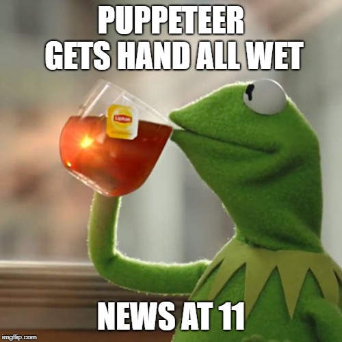 But That's None Of My Business | PUPPETEER GETS HAND ALL WET; NEWS AT 11 | image tagged in memes,but thats none of my business,kermit the frog | made w/ Imgflip meme maker