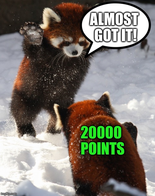 Attack Red Pandas | ALMOST GOT IT! 20000 POINTS | image tagged in attack red pandas | made w/ Imgflip meme maker
