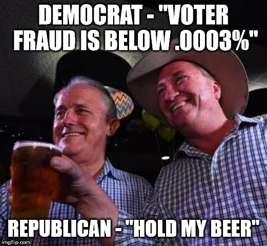 Hold my Beer | DEMOCRAT - "VOTER FRAUD IS BELOW .0003%"; REPUBLICAN - "HOLD MY BEER" | image tagged in hold my beer | made w/ Imgflip meme maker
