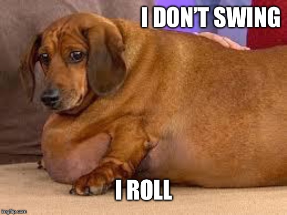 fat dog | I DON’T SWING I ROLL | image tagged in fat dog | made w/ Imgflip meme maker
