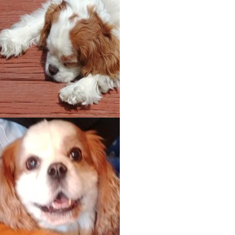 SADbutHAPPY Blank Meme Template