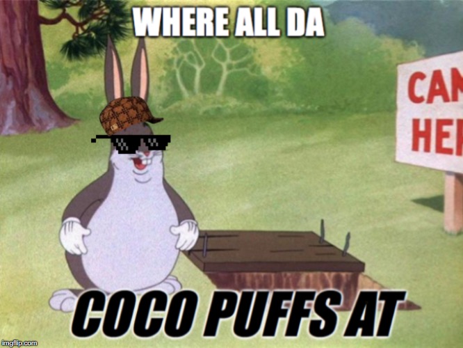 wer da coco pufs at | image tagged in big chungus | made w/ Imgflip meme maker