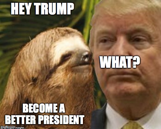 Political advice sloth | HEY TRUMP; WHAT? BECOME A BETTER PRESIDENT | image tagged in political advice sloth | made w/ Imgflip meme maker