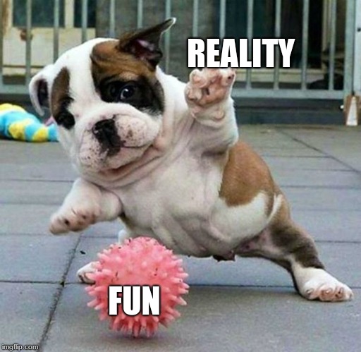 REALITY FUN | image tagged in puppy jump | made w/ Imgflip meme maker