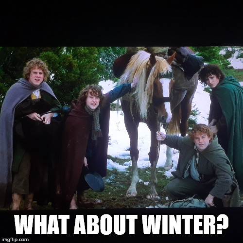 WHAT ABOUT WINTER? | image tagged in funny | made w/ Imgflip meme maker
