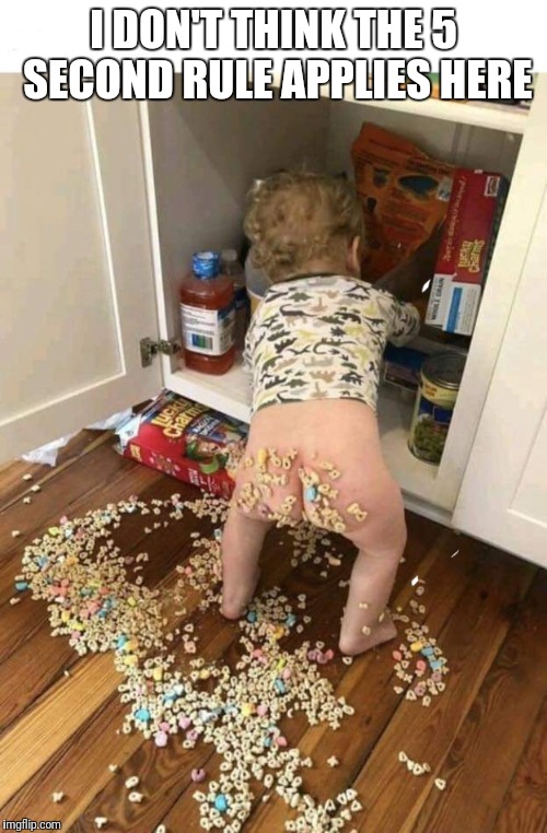 5 second rule | I DON'T THINK THE 5 SECOND RULE APPLIES HERE | image tagged in 5 second rule,funny kids,cheerios | made w/ Imgflip meme maker