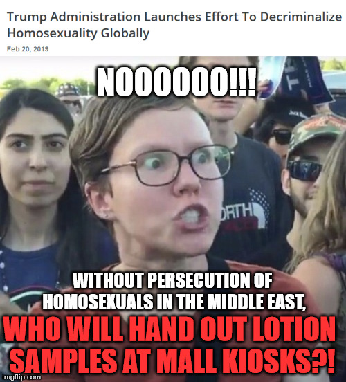 NOOOOOO!!! WITHOUT PERSECUTION OF HOMOSEXUALS IN THE MIDDLE EAST, WHO WILL HAND OUT LOTION SAMPLES AT MALL KIOSKS?! | image tagged in triggered feminist | made w/ Imgflip meme maker