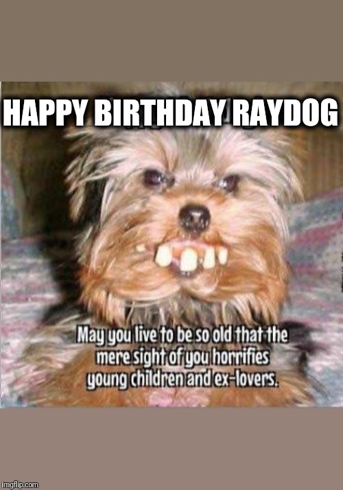 Happy Birthday Raydog | HAPPY BIRTHDAY RAYDOG | image tagged in happy birthday | made w/ Imgflip meme maker