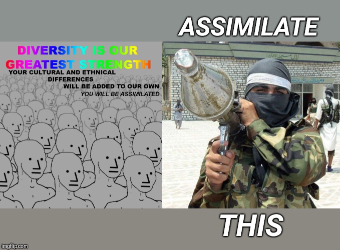 NPC to the RPG | ASSIMILATE; THIS | image tagged in politics,islam,donald trump,terrorism | made w/ Imgflip meme maker