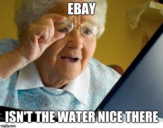 old lady at computer | EBAY; ISN'T THE WATER NICE THERE | image tagged in old lady at computer | made w/ Imgflip meme maker