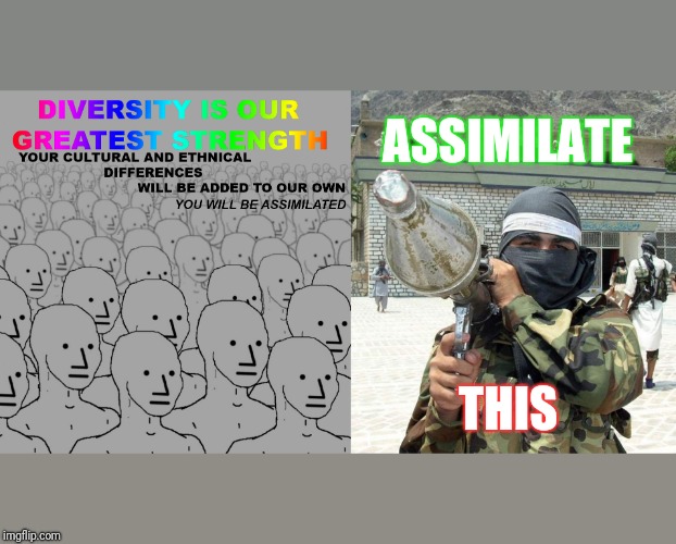 RPG TO THE NPC 2020 NO 2 THA DNC! | ASSIMILATE; THIS | image tagged in terrorism,islam,trump,politics,middle east | made w/ Imgflip meme maker