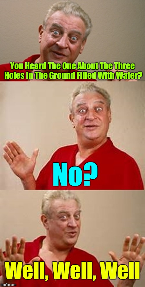 ~_~ | You Heard The One About The Three Holes In The Ground Filled With Water? No? Well, Well, Well | image tagged in bad pun dangerfield,memes | made w/ Imgflip meme maker