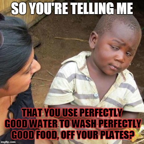Always eat that last grain of rice | SO YOU'RE TELLING ME; THAT YOU USE PERFECTLY GOOD WATER TO WASH PERFECTLY GOOD FOOD, OFF YOUR PLATES? | image tagged in memes,third world skeptical kid | made w/ Imgflip meme maker