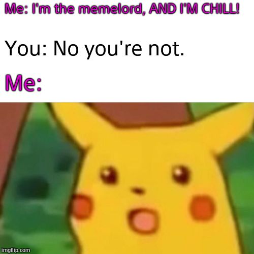 Surprised Pikachu Meme | Me: I'm the memelord, AND I'M CHILL! You: No you're not. Me: | image tagged in memes,surprised pikachu | made w/ Imgflip meme maker