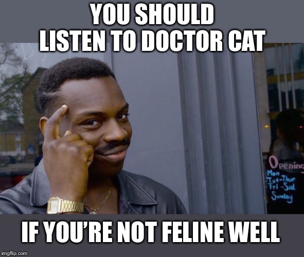 Roll Safe Think About It Meme | YOU SHOULD LISTEN TO DOCTOR CAT IF YOU’RE NOT FELINE WELL | image tagged in memes,roll safe think about it | made w/ Imgflip meme maker