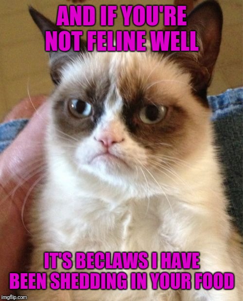Grumpy Cat Meme | AND IF YOU'RE NOT FELINE WELL IT'S BECLAWS I HAVE BEEN SHEDDING IN YOUR FOOD | image tagged in memes,grumpy cat | made w/ Imgflip meme maker