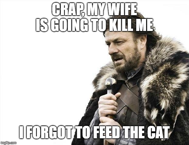 Brace Yourselves X is Coming Meme | CRAP, MY WIFE IS GOING TO KILL ME; I FORGOT TO FEED THE CAT | image tagged in memes,brace yourselves x is coming | made w/ Imgflip meme maker