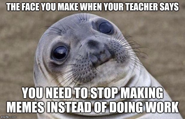 Awkward Moment Sealion | THE FACE YOU MAKE WHEN YOUR TEACHER SAYS; YOU NEED TO STOP MAKING MEMES INSTEAD OF DOING WORK | image tagged in memes,awkward moment sealion | made w/ Imgflip meme maker