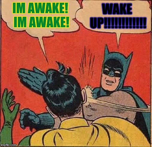 Batman Slapping Robin Meme | IM AWAKE! IM AWAKE! WAKE UP!!!!!!!!!!!! | image tagged in memes,batman slapping robin | made w/ Imgflip meme maker