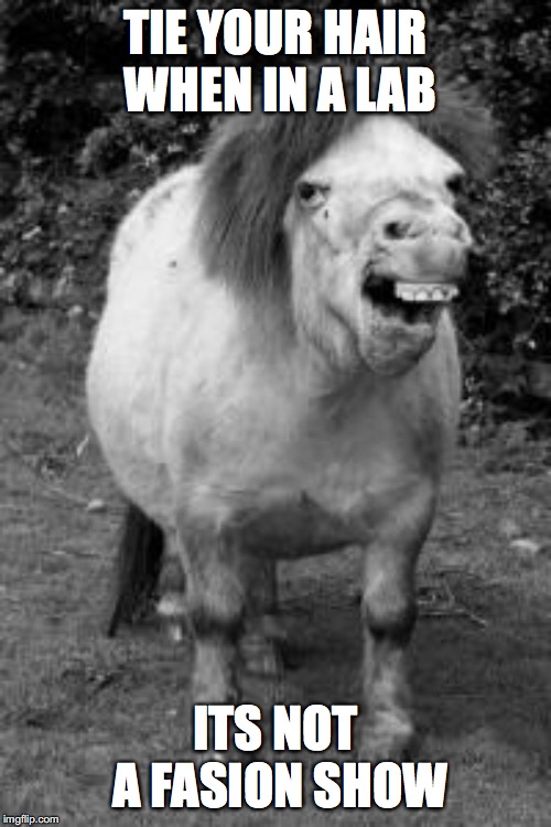 ugly horse | TIE YOUR HAIR WHEN IN A LAB; ITS NOT A FASION SHOW | image tagged in ugly horse | made w/ Imgflip meme maker